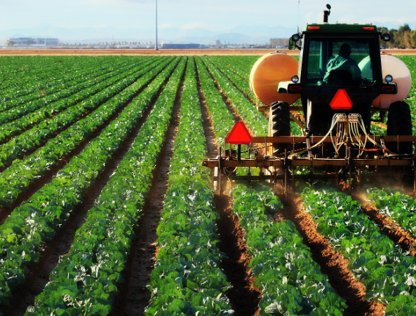 Regenagri對可再生農(nóng)業(yè)種植在全球農(nóng)業(yè)可持續(xù)轉(zhuǎn)型發(fā)展