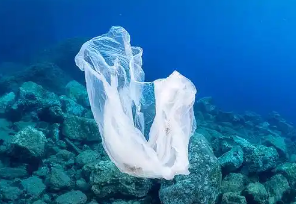 OBP海洋塑料認(rèn)證對全球塑料微顆粒涵蓋環(huán)節(jié)工序追溯體系