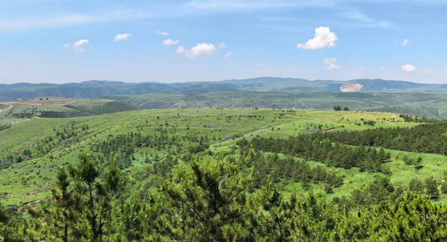 eudr歐盟零毀林法案對涵蓋范圍行業出口規范標準