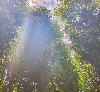 UL2809對適用可持續行業規范再生材料加工的低碳運營