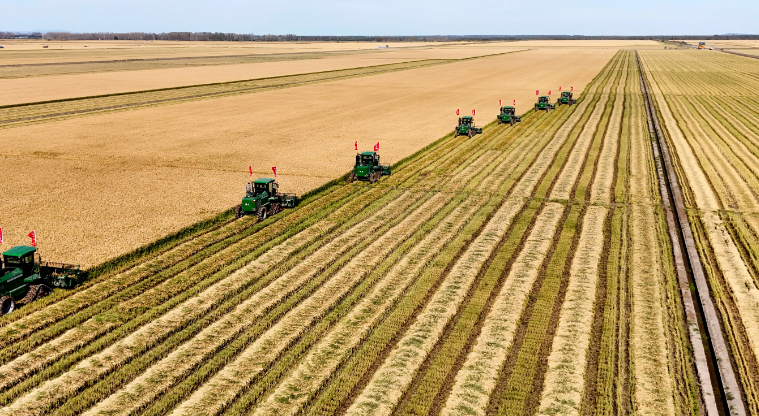 eudr歐盟零毀林法案即將實施法規帶來積極變化事項