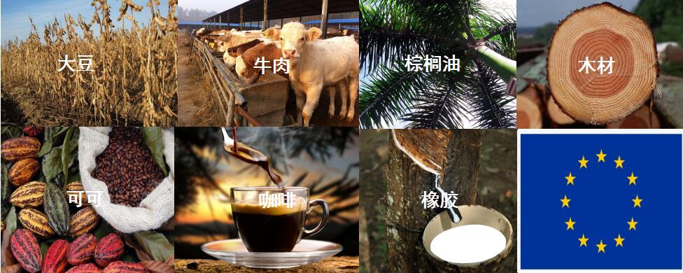 QQ截圖20240724115517.jpg QQ截圖20240724115517.jpg